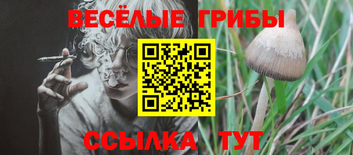 Сегежа  Псилоцибиновые грибы MAGIC MUSHROOMS  Вход с VPN 