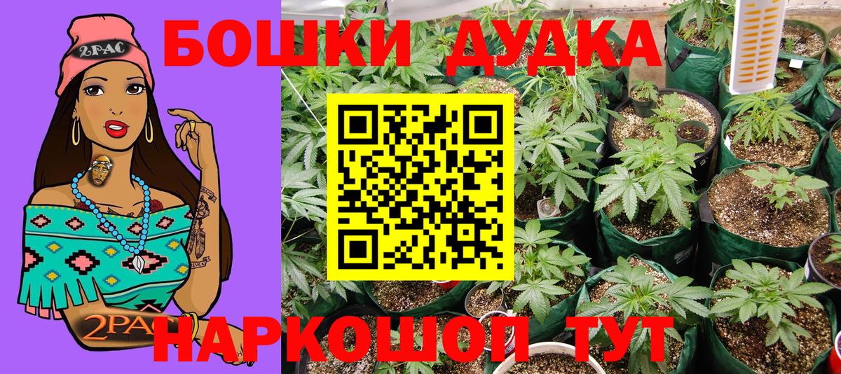 Бошки марихуана гибрид  Каннабис THC 21%  Вход с VPN  Сегежа  Канабис LSD WEED 